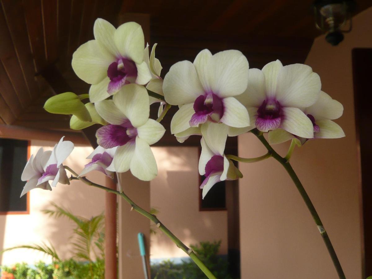 The Pace Phuket Boutique Resort Rawai 외부 사진