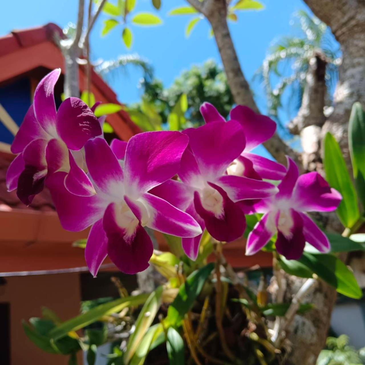 The Pace Phuket Boutique Resort Rawai 외부 사진