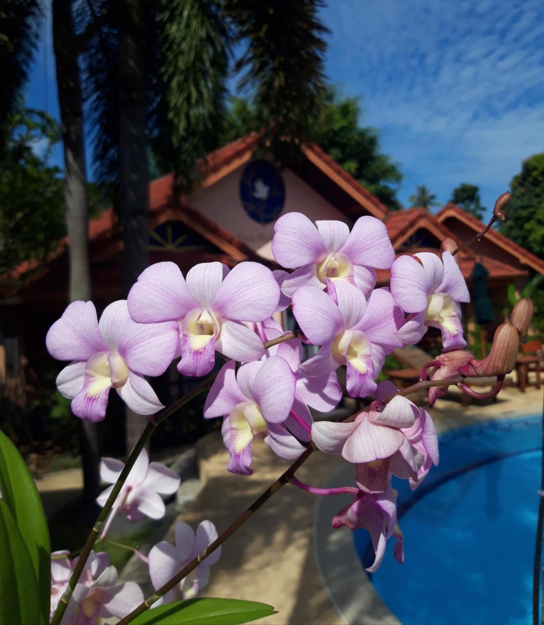 The Pace Phuket Boutique Resort Rawai 외부 사진