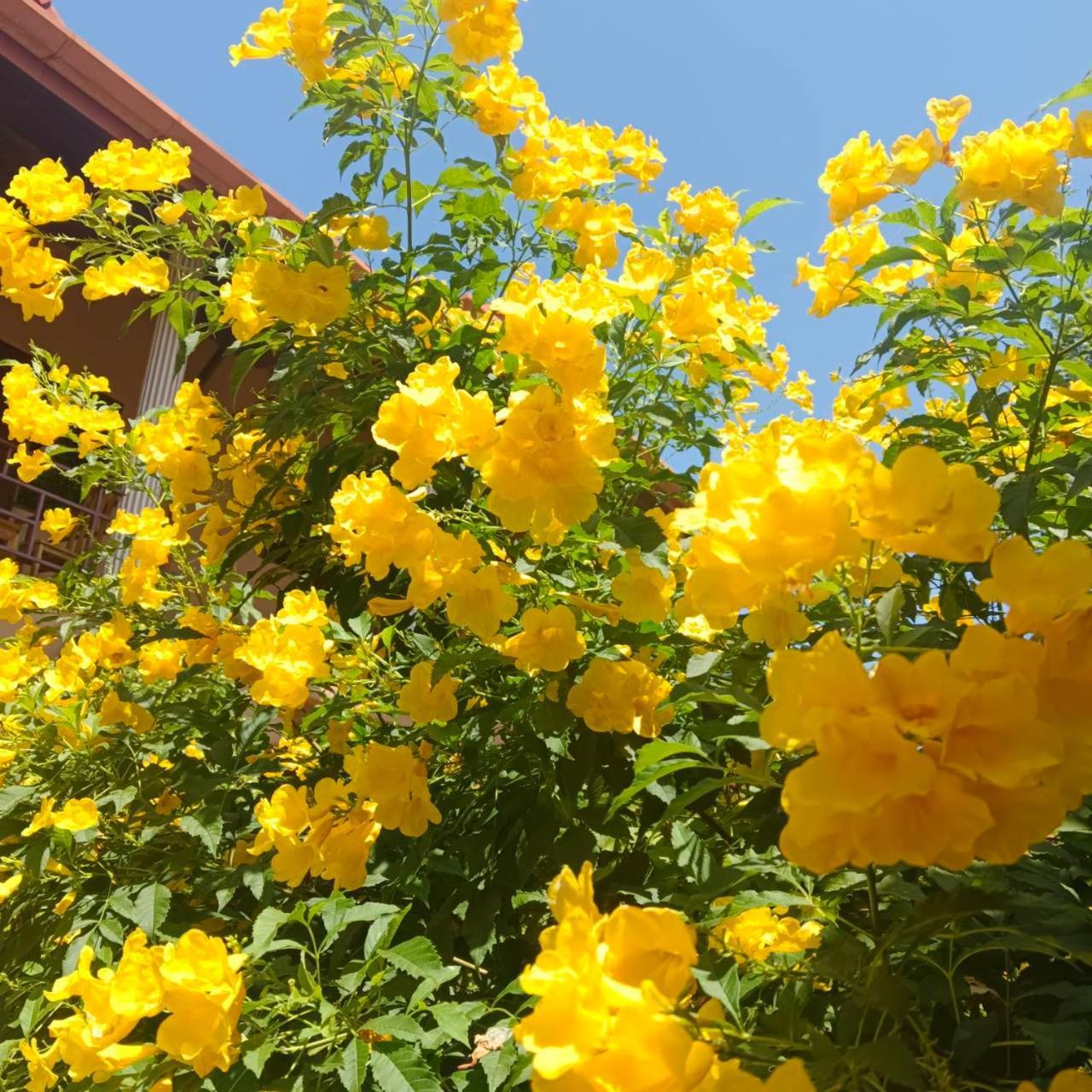 The Pace Phuket Boutique Resort Rawai 외부 사진